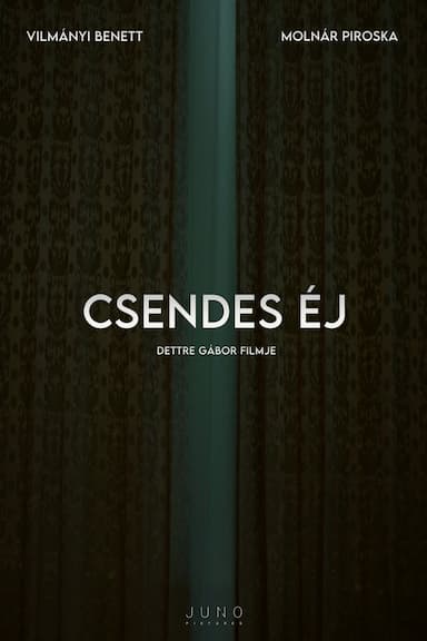Csendes éj