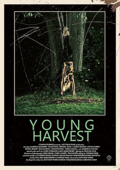 Young Harvest