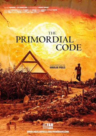The Primordial Code