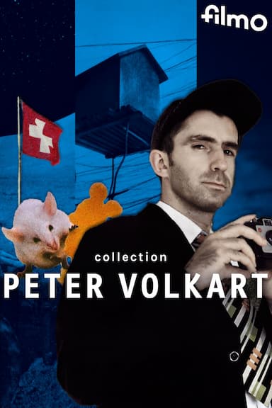 Collection Peter Volkart