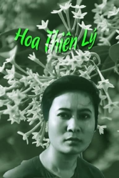 Hoa thiên lý