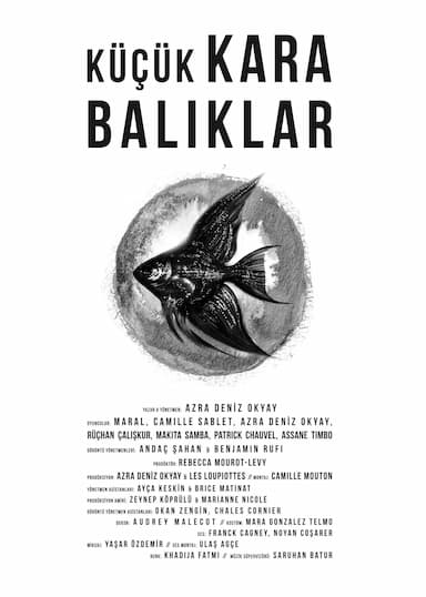 Küçük kara baliklar