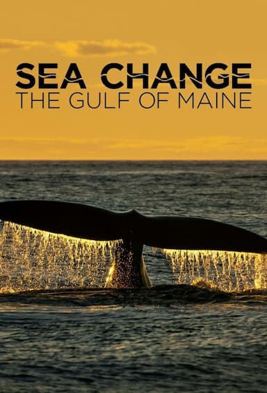 SEA CHANGE, a special presentation of NOVA