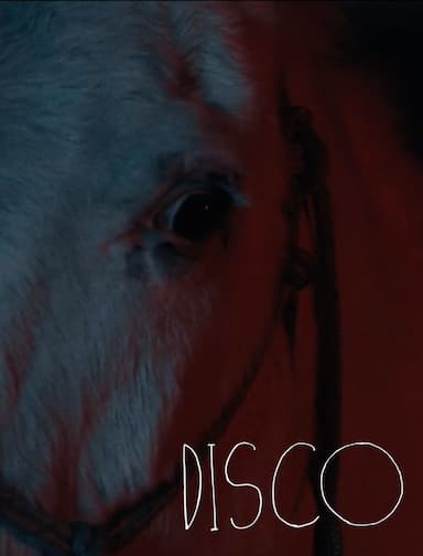 Disco