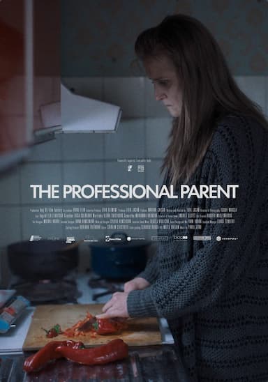 The Professional Parent