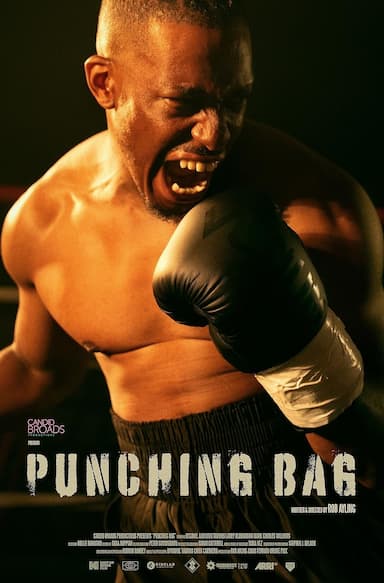 Punching Bag