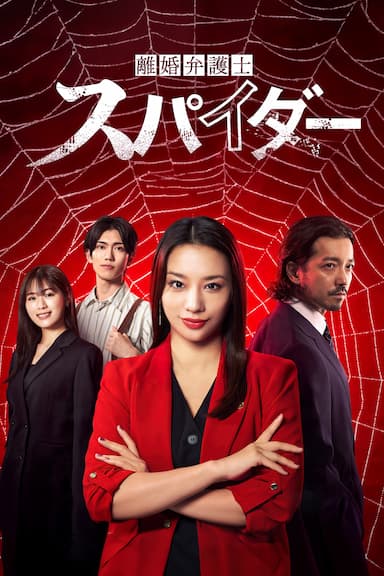 Divorce Lawyer Spider