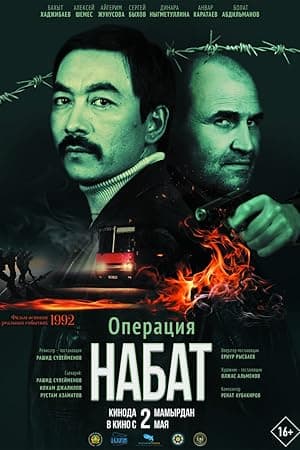 Operation Nabat