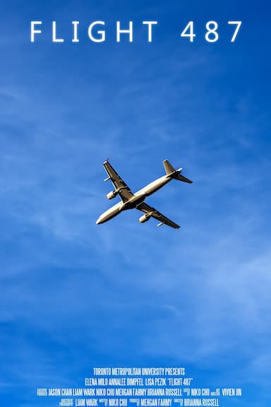 Flight 487