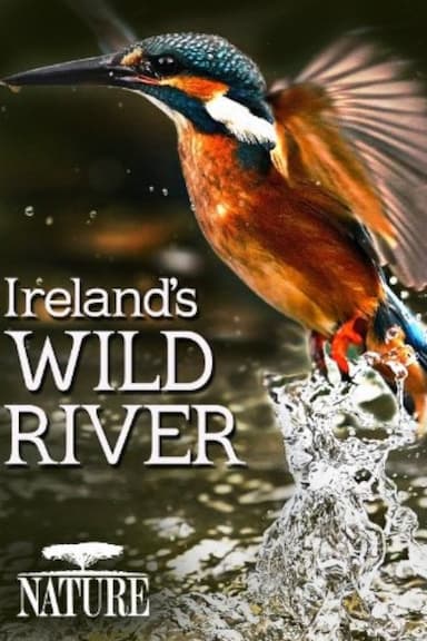 On a River in Ireland