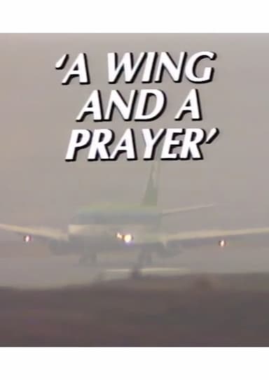 A Wing and a Prayer: The Story of Knock Airport
