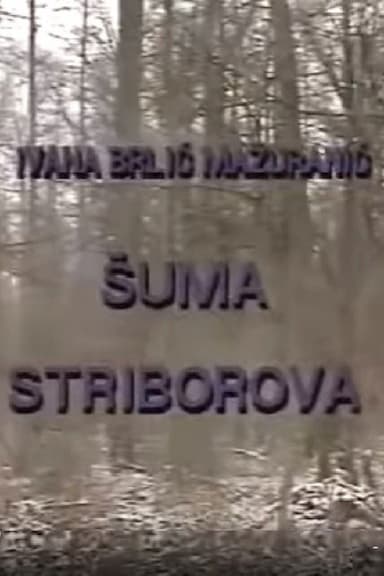 Suma Striborova