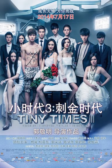 Tiny Times 3.0