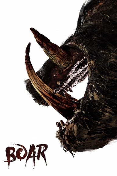 Boar