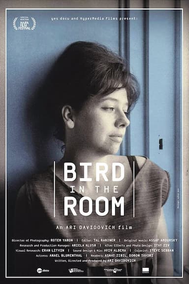 Bird in the Room