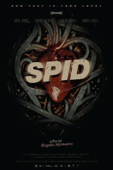 Spid