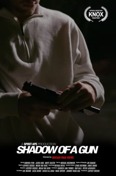 Shadow of a Gun