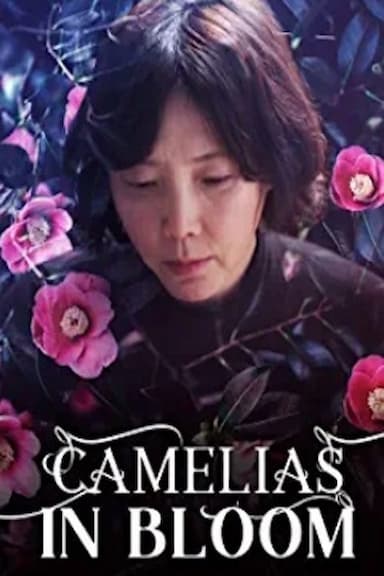 Camellias in bloom