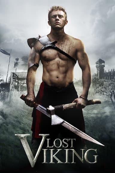 The Lost Viking