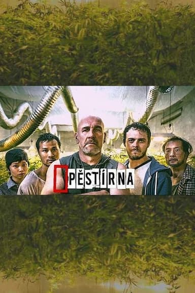 Pestírna