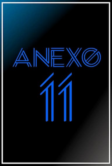 Anexo 11