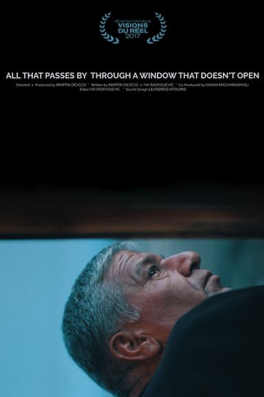 All that Passes By Through a Window That Doesn't Open