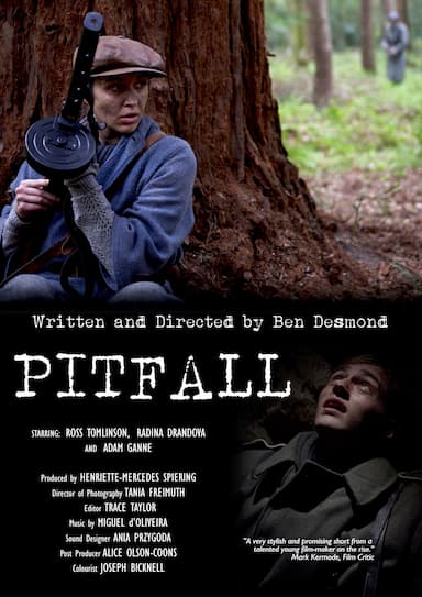 Pitfall
