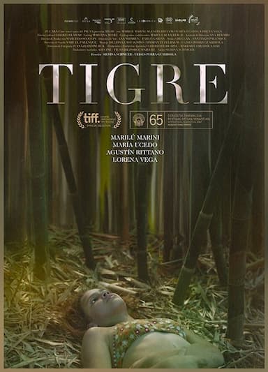 Tigre
