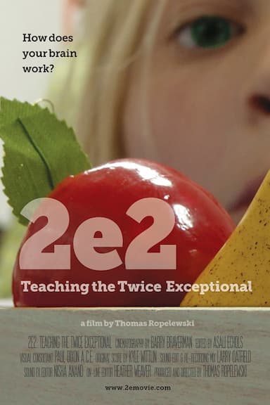2e: Teaching the Twice Exceptional