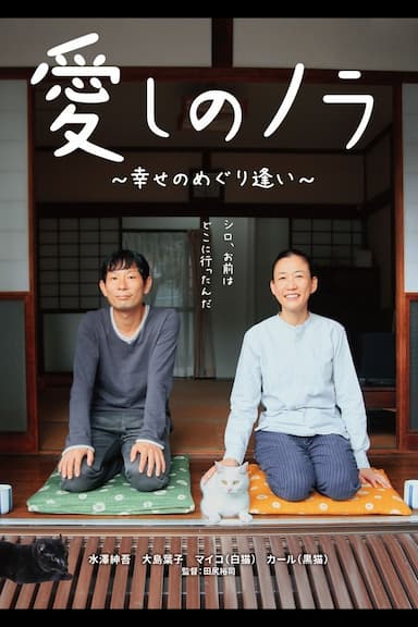 Itoshi no Nora, shiawase no meguriai