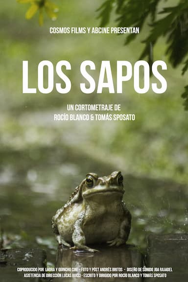 The Toads