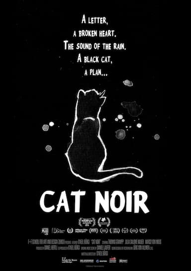 Cat Noir
