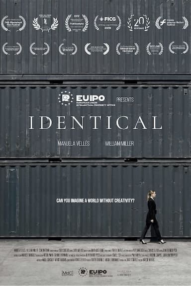 IPdentical