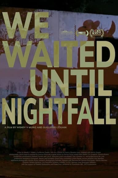We waited until nightfall