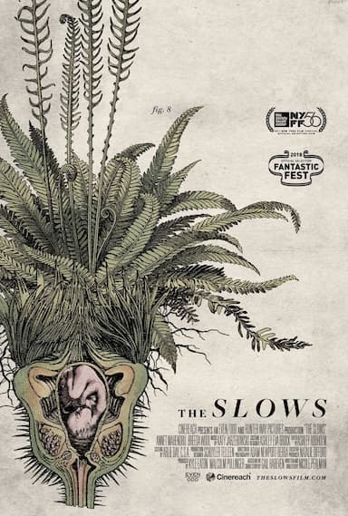 The Slows