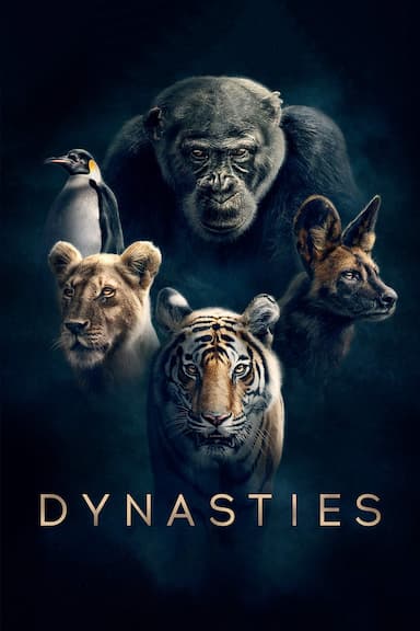 Dynasties